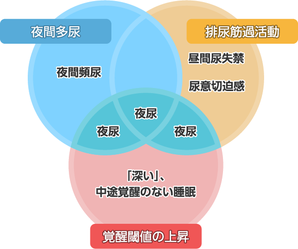 夜尿症の原因
